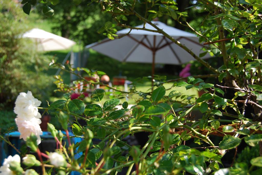 B&B Haus Zur Krone Oberriet 외부 사진