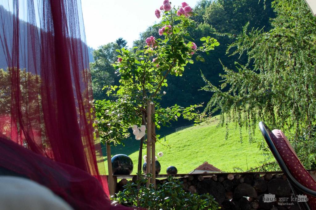 B&B Haus Zur Krone Oberriet 외부 사진